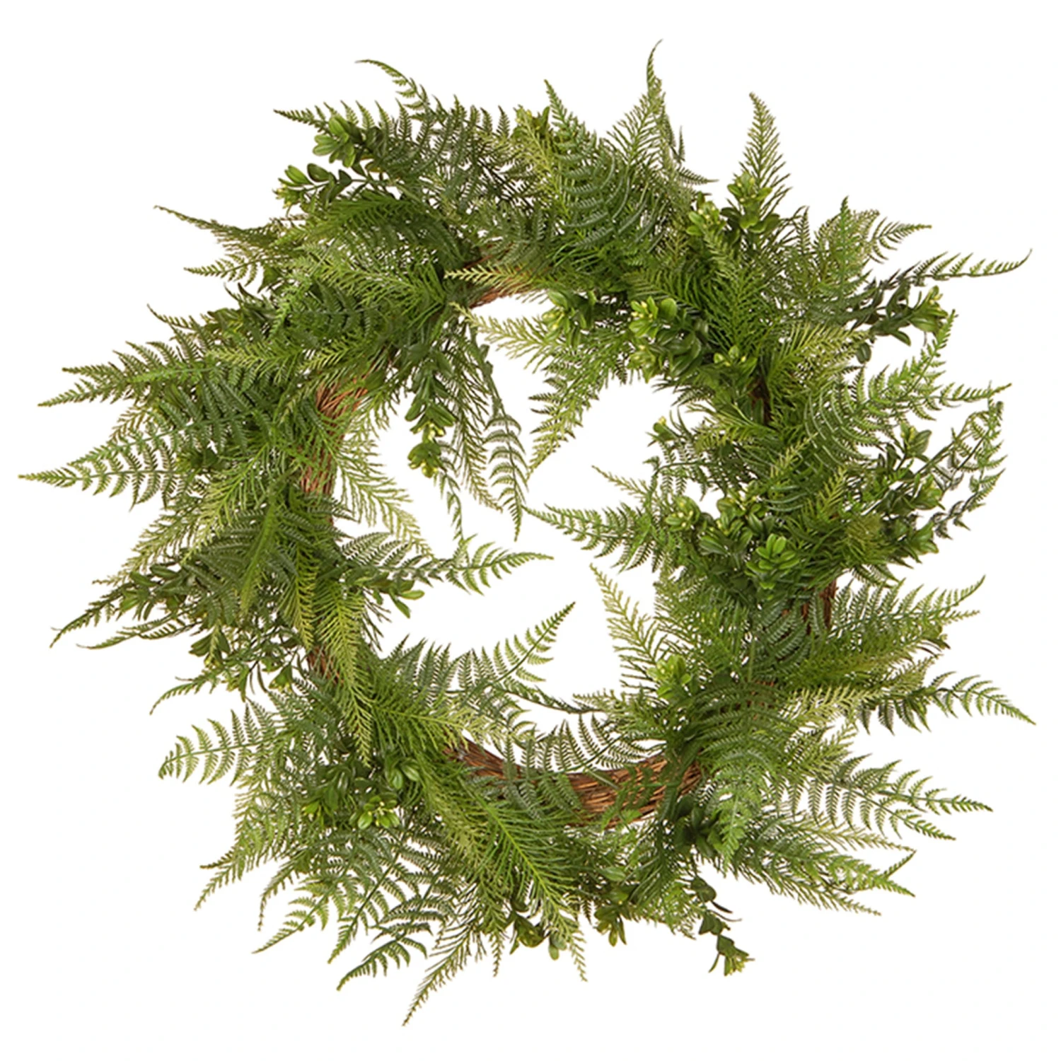 National Tree Company Artificial Hanging Wreath, Green, Boston Fern, Woven Branch Base, Decorated With Fern Leaves, Spring Collection, 22 Inches 1 National Tree Company Artificial Hanging Wreath, Green, Boston Fern, Woven Branch Base, Decorated With Fern Leaves, Spring Collection, 22 Inches
