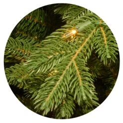 Pre-Lit 'Feel Real' Artificial Full Downswept Christmas Tree, Green, Douglas Fir, Dual Color LED Lights, Includes PowerConnect And Stand, 7.5 Feet -National Tree Company website images 1 0001s 0003s 0000 PEPO2LITCUcopy3