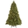 Pre-Lit 'Feel Real' Artificial Full Downswept Christmas Tree, Green, Douglas Fir, Dual Color LED Lights, Includes PowerConnect And Stand, 7.5 Feet