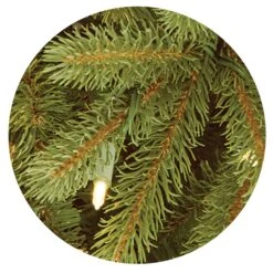Pre-Lit Full Artificial Christmas Tree, Green, Jersey Fraser Fir, 'Feel Real', Includes Stand, 7.5 Feet -National Tree Company website images 2 0001s 0019s 0000 PEJF1